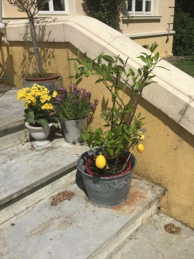 Exklusive Ferienwohnungen Im Gutshaus Viezen Bernitt Extérieur photo